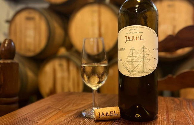 Excursión a Cómpeta con cata de vinos - Foto 1