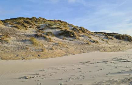 Le cottage sauvage - Foto 18