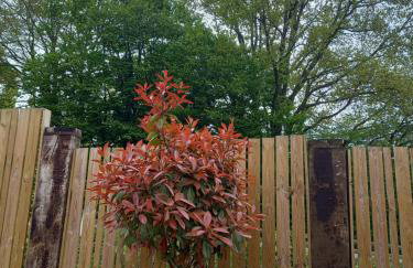 Aux charmes flamands - Foto 19