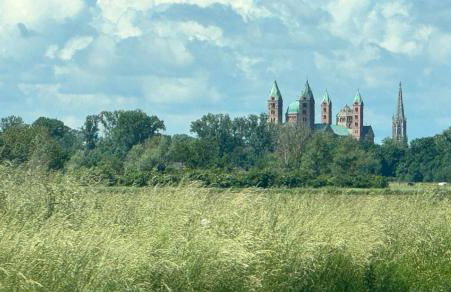 Ferienhaus Hoffmann am Rheinbogen - Foto 31