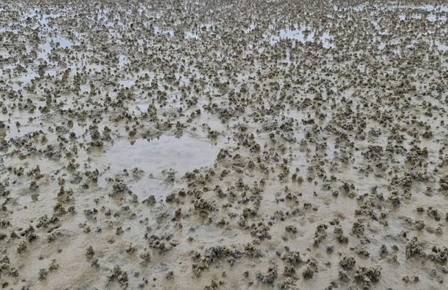 6 Person Holiday Home in Ribe-by Traum - Foto 14