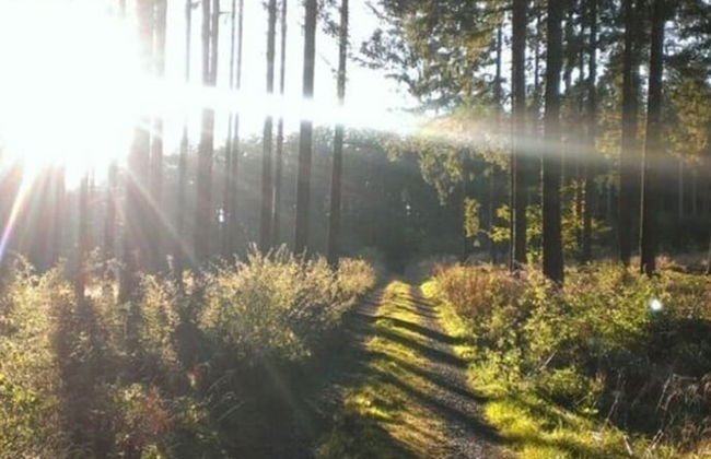 Lovely Apartment in Extertal - Foto 11