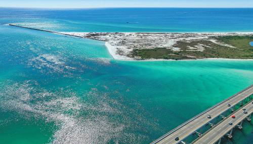 Yellow Bird - Foto 4