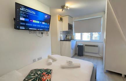 Cosy Farringdon Apartments - Foto 47