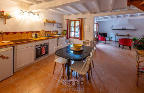 Mas Sant Jordi - Foto 24