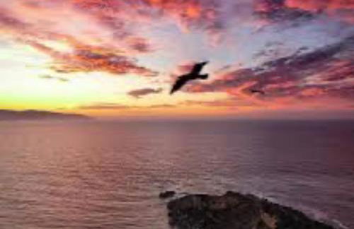 La Casa di Wioletta - Foto 62