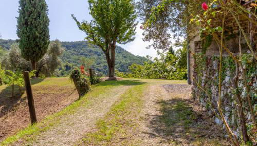 Wine Relais Prosecco - Foto 3, Garden view