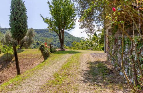 Wine Relais Prosecco - Foto 3