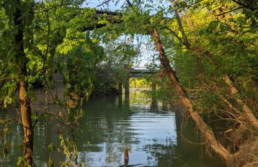 Stefan Cabin Nature-nested Tiny Home Hot Tub - Foto 5