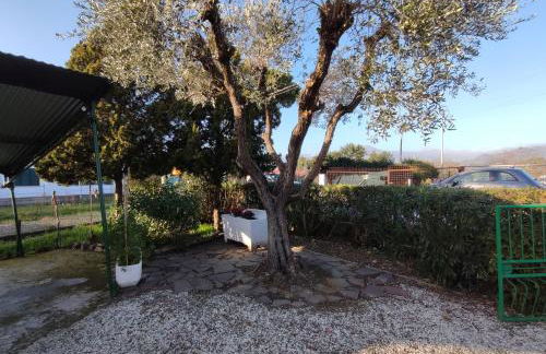 House Viareggio - Foto 49