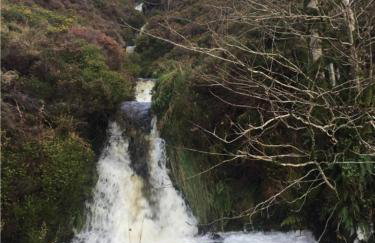 Stunning views of Ynyshir & Southern Snowdonia - Foto 28
