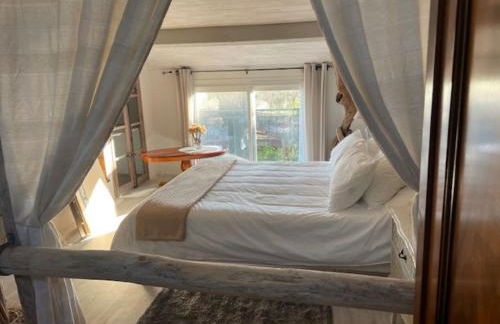 GITES - Mas Saint-Louis - Piscine chauffée - Foto 14