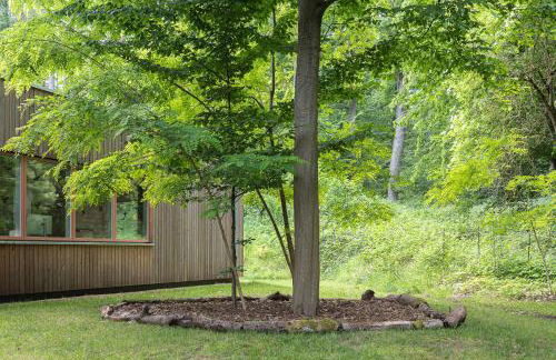 Haus am Wald in Hitzacker Elbe Wendland - Foto 28