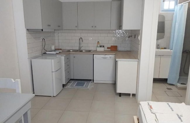 Ippocampos - Foto 36