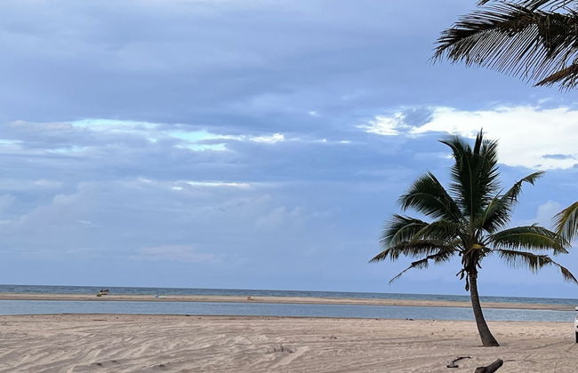 Villa Palmeira - Foto 79