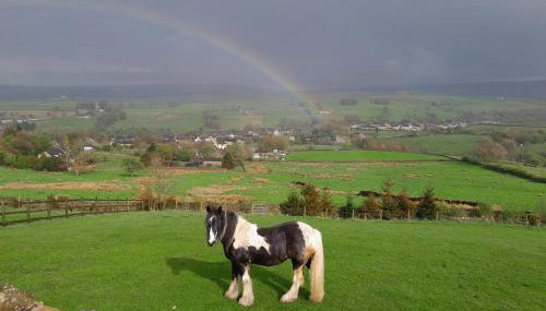 The Croft Holiday Cottage - AA Accredited, Country Cottage - Foto 2