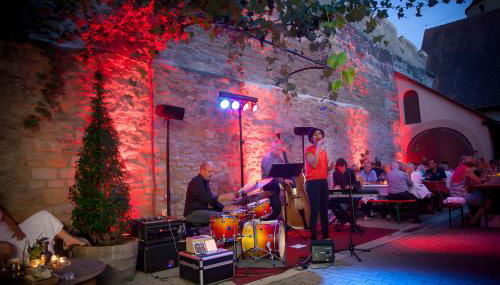 Weingut Ilmbacher Hof - Foto 3