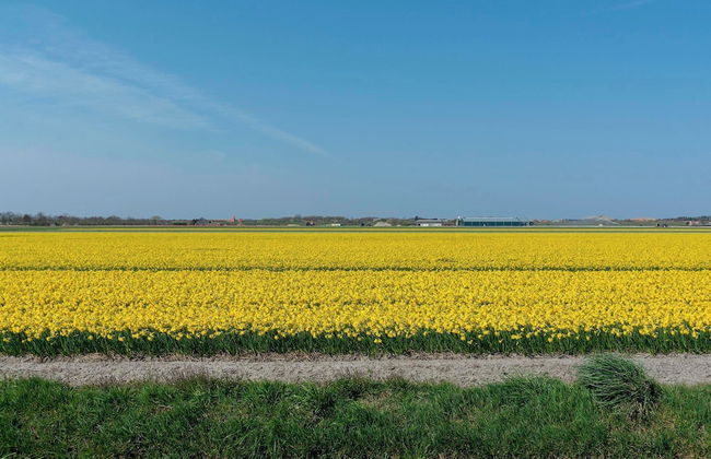 Holiday Home by Beach in Ooghduyne - Foto 30