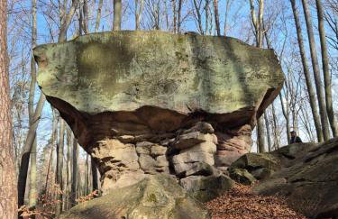 Apartamenty Gajewscy - Foto 37