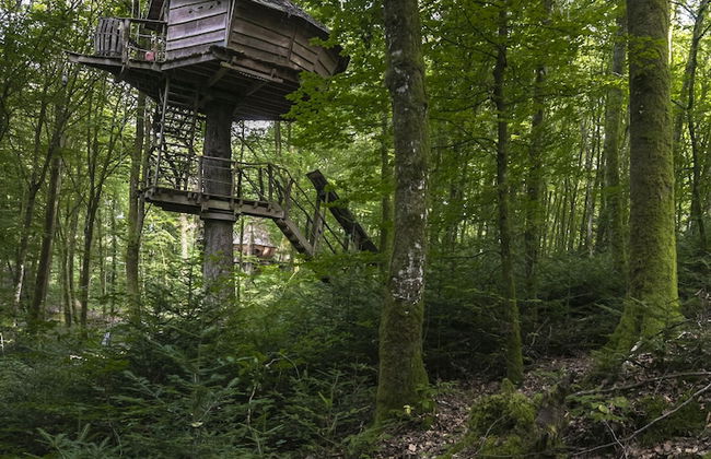 L'Arbre à Cabane - Foto 51