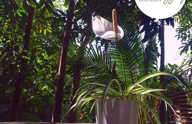 Malunggay Apartments - Foto 38