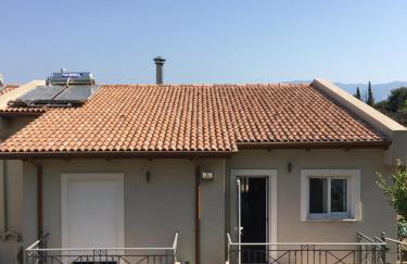 The Olive Orchard - Foto 7