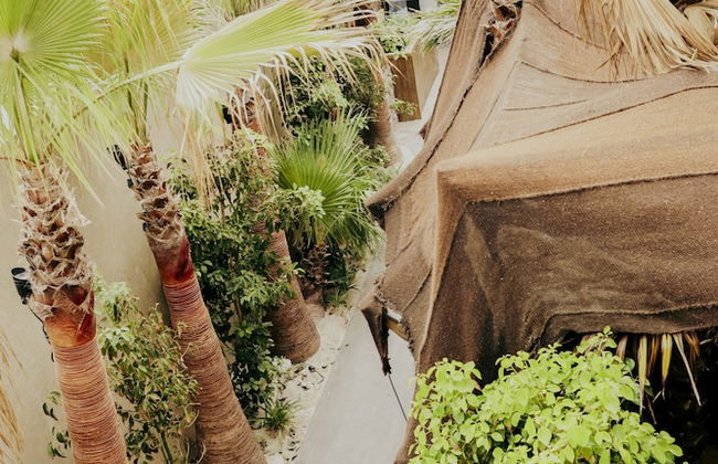 Apartamentos Bora Bora - Adults Only - Foto 50