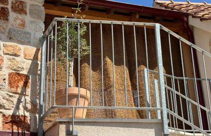 Dolce Terra - Photo 17