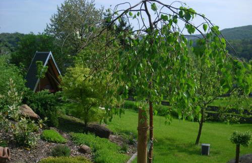 Seniorengerechte Ferienwohnung in Großalmerode - Foto 43