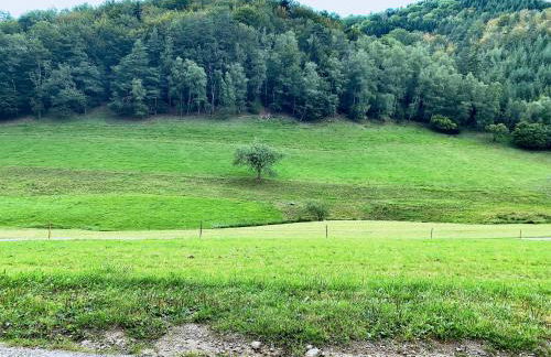 Ferienhaus Hederle - Foto 37