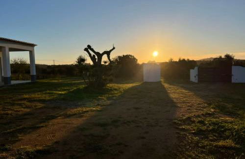 Monte da Lebrinha - Foto 27