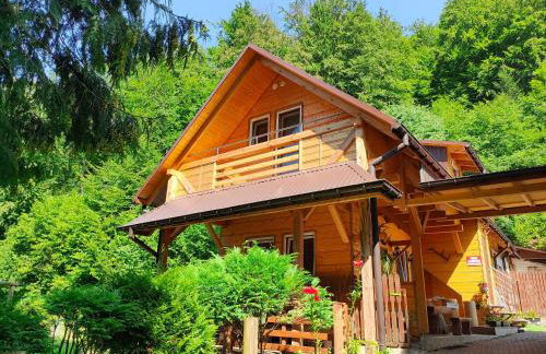 Danielówka na Szlaku Rogasiowym - Foto 1