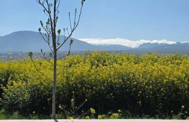 Cortijo de la Seda - Foto 23