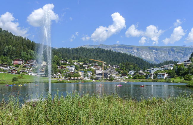 Schumellins (LAA400) - Foto 18