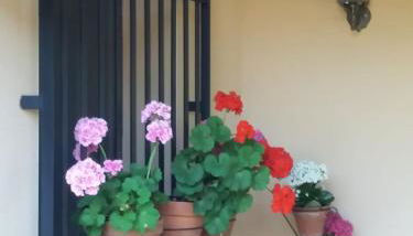 Casas Rurales Cortijo Bellavista - Foto 4