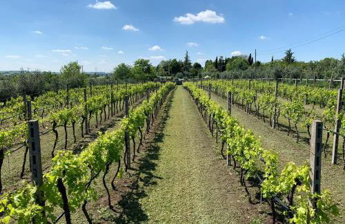 Agriturismo Le Mistral - Foto 64