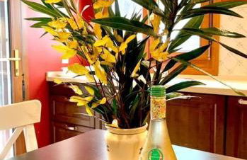 Villa Miranda - Foto 25