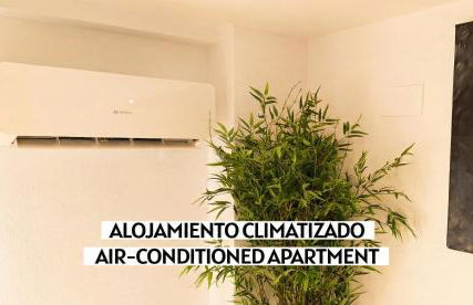 Apartalux Playa Diva - Photo 8