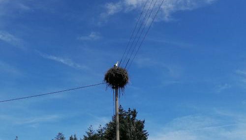 Schwarzwald Appartement - Foto 2, Other