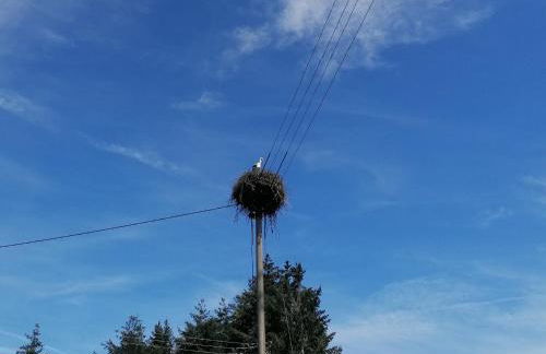 Schwarzwald Appartement - Foto 2