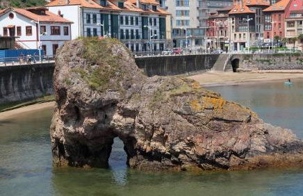 Playa de la palmera - Foto 28