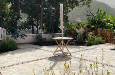 Banana House - Foto 44