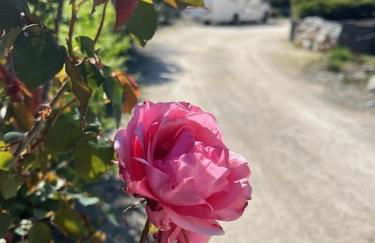 Villa La Liberté - Foto 51