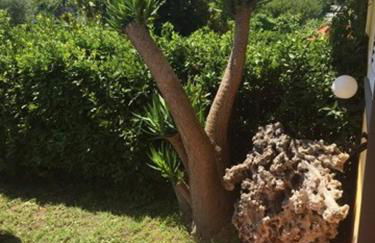 Il Rifugio di Leonardo - Foto 8