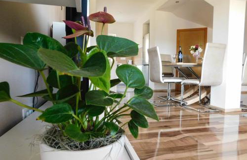 Apartman Lara - Photo 23