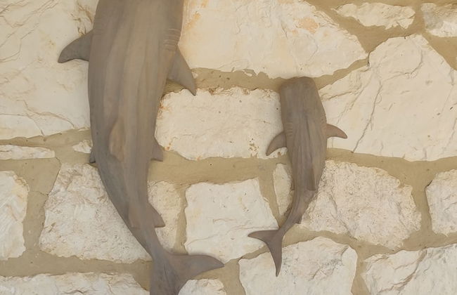 Jootiq Villas - Foto 73