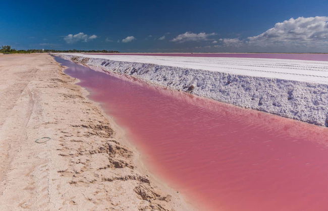 Excursión privada con guía desde Riviera Maya - Foto 6