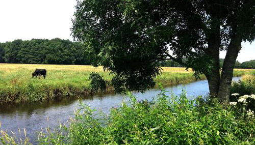 Oase auf dem Land - Foto 2