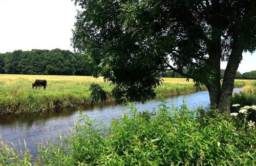 Oase auf dem Land - Foto 2