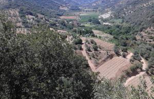 Il sughereto - Foto 22